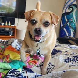 Picture of Stanley