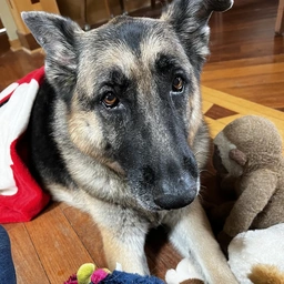 Picture of Annie